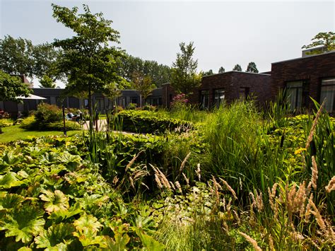 hogewey dementia village|Iba pa.